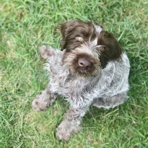 Meet your Posher, Chelsea